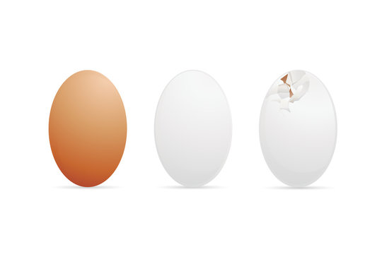 3 eggs on a white background - vector illustration
