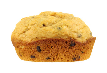 Single chocolate chip muffin