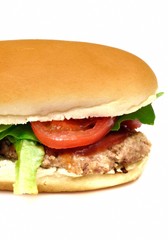 Panino imbottito
