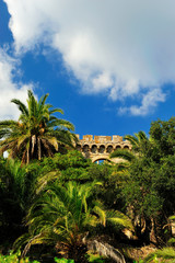 Fototapeta na wymiar Zamek w Hyeres za palmami