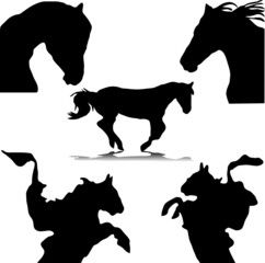 horse silhouettes vector
