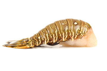 Lobster tail