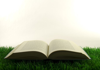 Buch