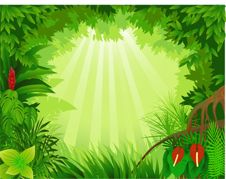 Beautiful tropical forest vector illustration