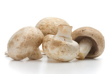 Fresh-cut mushrooms champignon