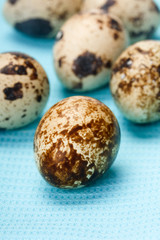 Obraz premium Quail eggs