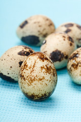 Obraz premium Quail eggs