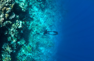 Fototapeta na wymiar snorkeling