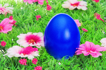 Ostereier auf Blumenwiese - easter eggs on flower meadow 17