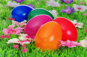 Ostereier auf Blumenwiese - easter eggs on flower meadow 20
