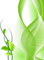 Fresh leaves over green wavy background