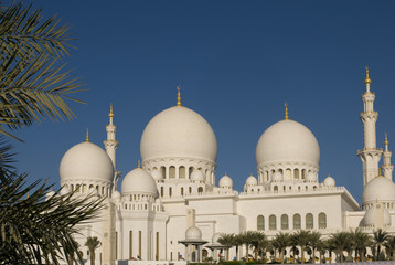 Fototapeta na wymiar Abu Dhabi meczet