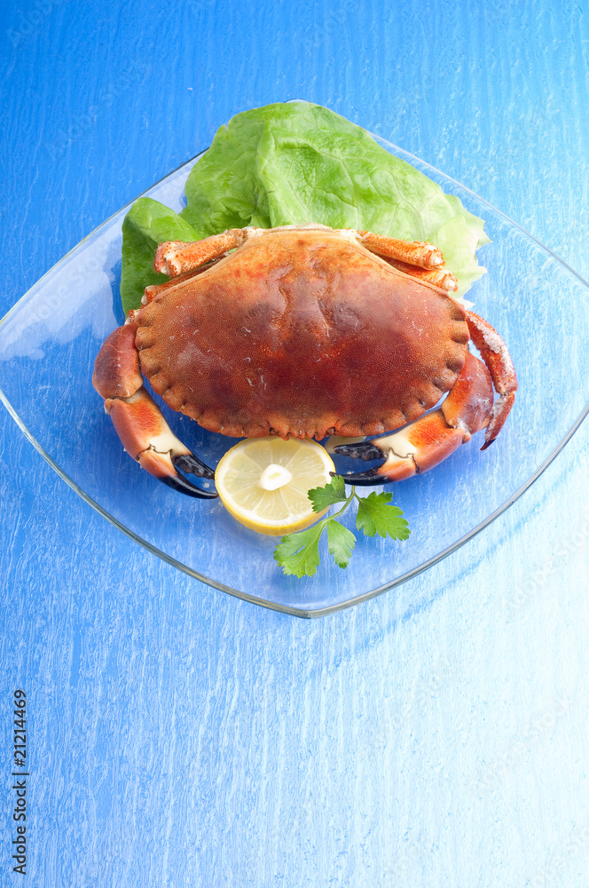 Sticker crab with lemon and lettuce on dish