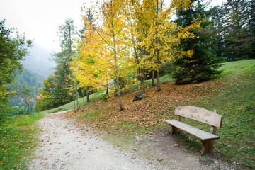 Bench in the park