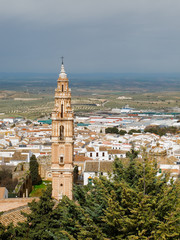Fototapeta na wymiar Aerial view of Estepa, Andalucia with the tower of Victory