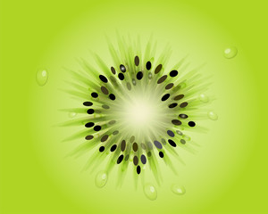 green kiwi slice wallpaper