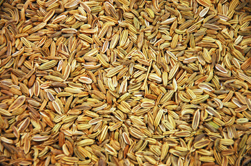 Fennel seeds