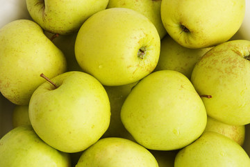 background from green apples