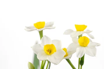 Deurstickers Narcis Close up van witte narcissen