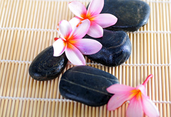 Flowers with stones