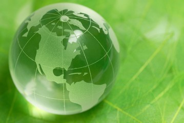 Crystal globe on green leaf