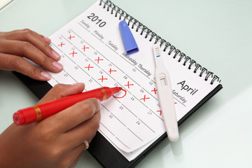 Hand cricling calendar with pregnancy test
