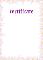 Certificate Template — Fill & Print Series