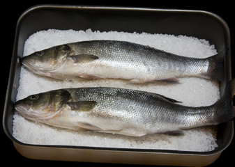 branzino al sale