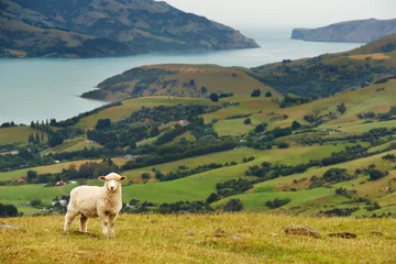 Keuken spatwand met foto New Zealand landscape, Banks Peninsula © Dmitry Pichugin