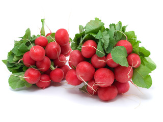 two bunch of radishes