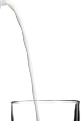 Milk isolated on white background