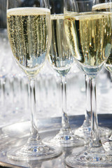 tablett mit sektgläsern
