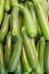 An explosion of zucchinis