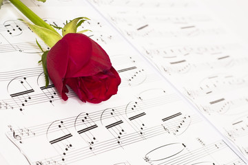 Rose and music