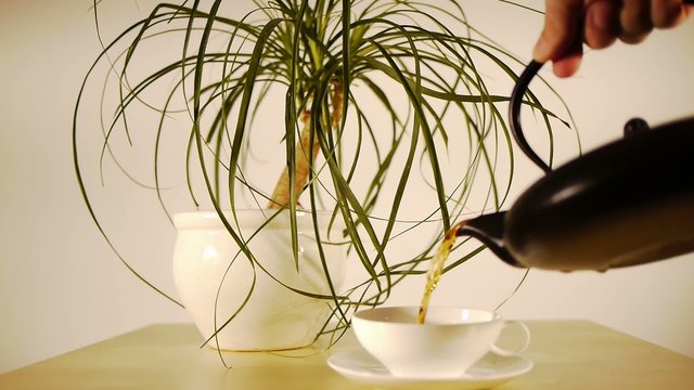 Pouring Tea with Cast Iron Pot