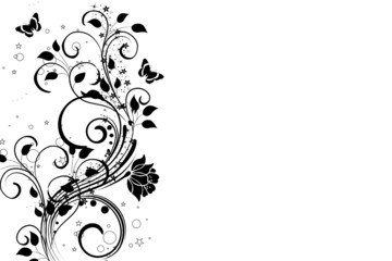 floral noir papillons © bordeur26