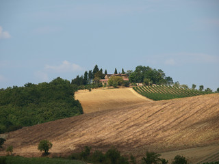 Villa in Tuscany amongst vineyards and an olive groves