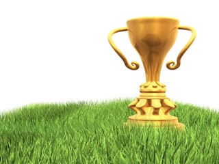 pokal auf rasen