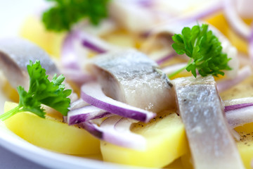 Fish Salad
