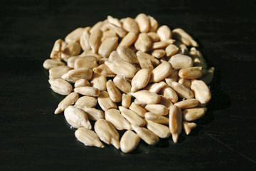 graines de tournesol