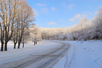Fototapeta na wymiar winter tree lined country road