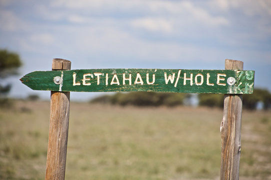 Water hole in Central Kalahari desert