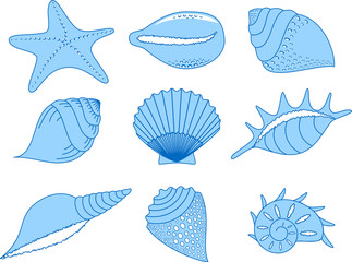 the collection of the cockleshells