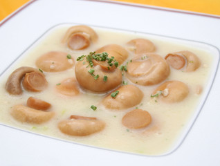 Champignoncremesuppe