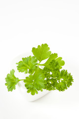 parsley leaf isolated