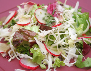 Frischer Salat