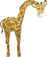 Funny giraffe illustration