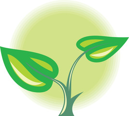 Green plant sprout