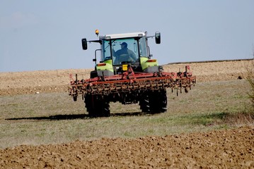 Obraz premium allé au champ