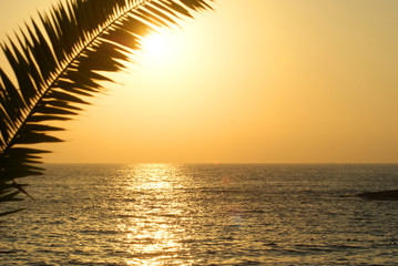 Fototapeta premium Yellow Sunset